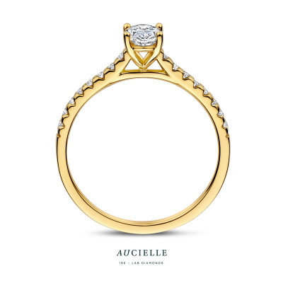 18 karaat ring met Lab Diamond 0.50ct+0.20ct ar9116a