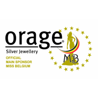 Orage Hanger met ketting in zilver AS429-V1141