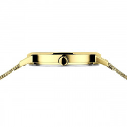 Bering Dameshorloge met extra ketting 34mm 13434-334-GWP