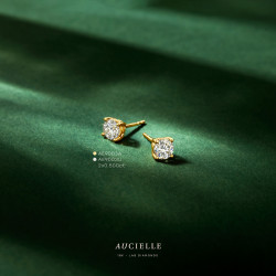 18 karaat oorringen met Lab Diamond 1.00 ct aE9003a